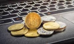全面解析比特币钱包模拟器下载：安全性、使用