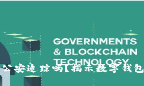 TP钱包能被公安追踪吗？揭示数字钱包隐私的真相