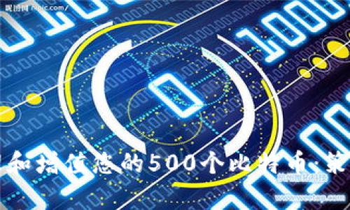 如何有效管理和增值您的500个比特币：策略与最佳实践