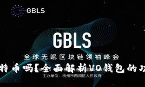 VO钱包能存比特币吗？全面解析VO钱包的功能和使用方法