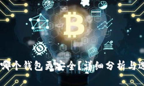 USDT提到哪个钱包更安全？详细分析与选钱包攻略