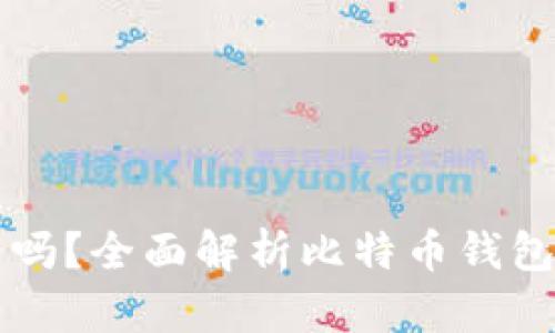比特币钱包必须要有吗？全面解析比特币钱包的重要性及选择指南