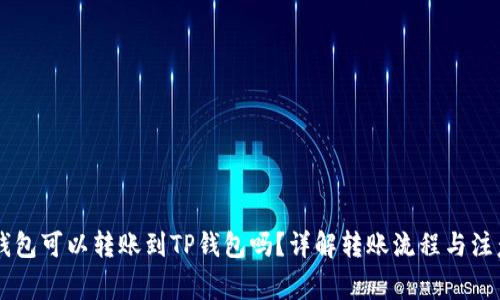 币印钱包可以转账到TP钱包吗？详解转账流程与注意事项
