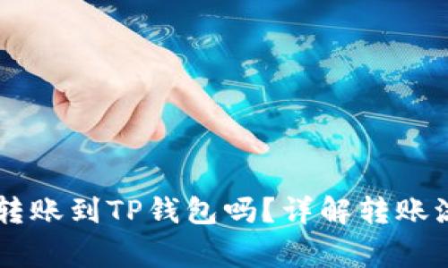 币印钱包可以转账到TP钱包吗？详解转账流程与注意事项