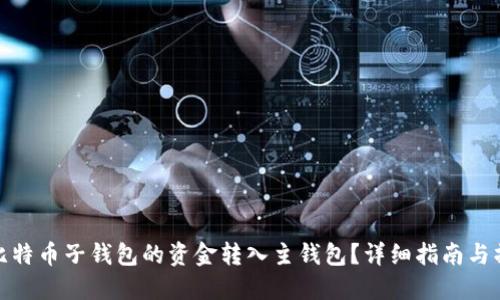 如何将比特币子钱包的资金转入主钱包？详细指南与操作步骤