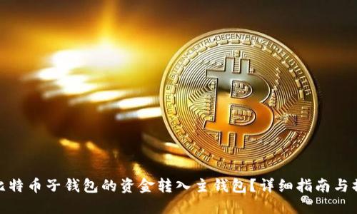 如何将比特币子钱包的资金转入主钱包？详细指南与操作步骤