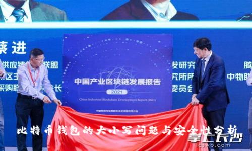比特币钱包的大小写问题与安全性分析
