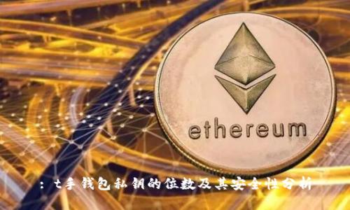 : t手钱包私钥的位数及其安全性分析