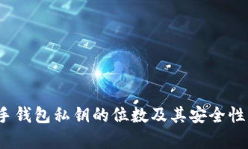 : t手钱包私钥的位数及其安全性分析