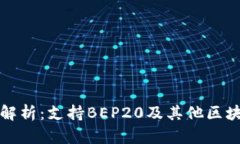 TP钱包全面解析：支持BEP20及其他区块链功能详解