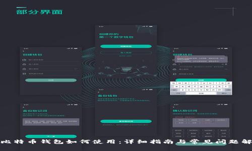 : 比特币钱包如何使用：详细指南与常见问题解答