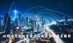 比特币钱包的当前大小及其影响因素解析