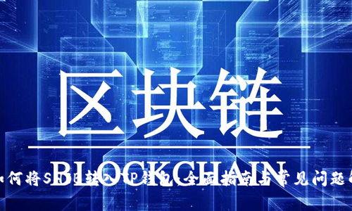 : 如何将SHIB转入TP钱包：全面指南与常见问题解答