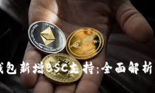电脑版TP钱包新增BSC支持:全面解析与使用指南