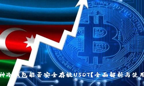 : 库神冷钱包能否安全存放USDT？全面解析与使用指南