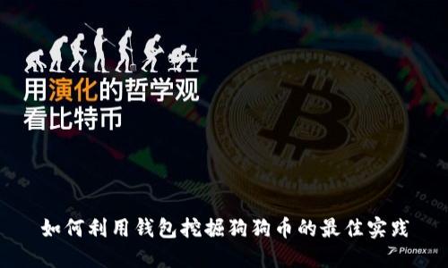 如何利用钱包挖掘狗狗币的最佳实践