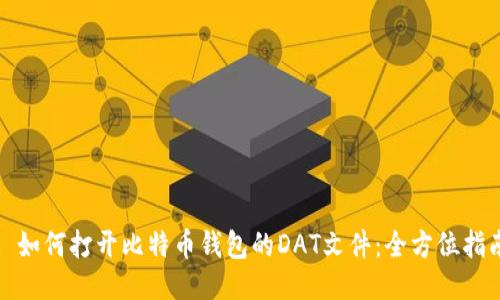 : 如何打开比特币钱包的DAT文件：全方位指南
