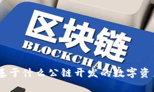 **TP钱包：基于什么公链开发的数字资产管理工具