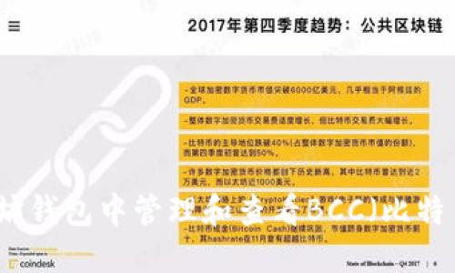 如何在以太坊钱包中管理和查看BCC（比特币现金）资产