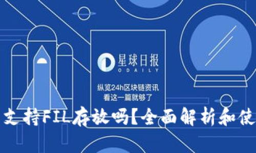 tP钱包支持FIL存放吗？全面解析和使用指南