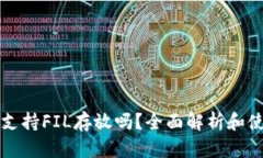 tP钱包支持FIL存放吗？全面解析和使用指南