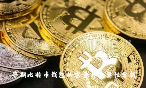 早期比特币钱包的容量与重要性分析