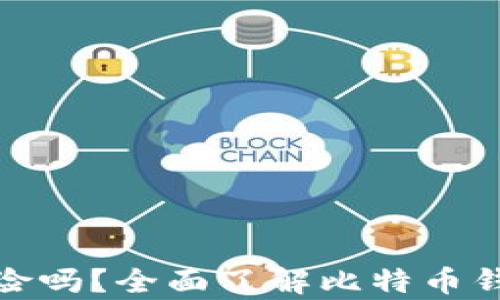 比特币存钱包有风险吗?全面了解比特币钱包的安全性与风险