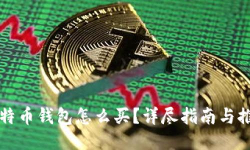 比特币钱包怎么买？详尽指南与推荐