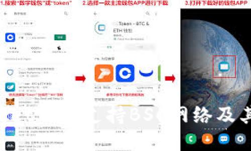 TokenPocket钱包支持BSC网络及其应用指南