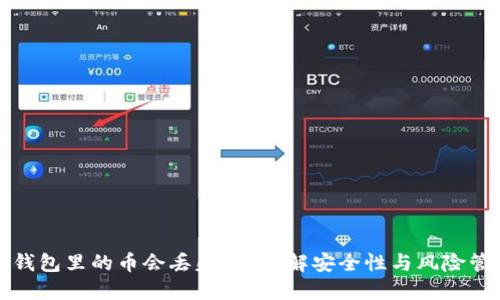 TP钱包里的币会丢失吗？详解安全性与风险管理
