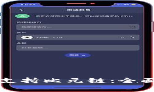 TP钱包如何支持比元链：全面解析与应用