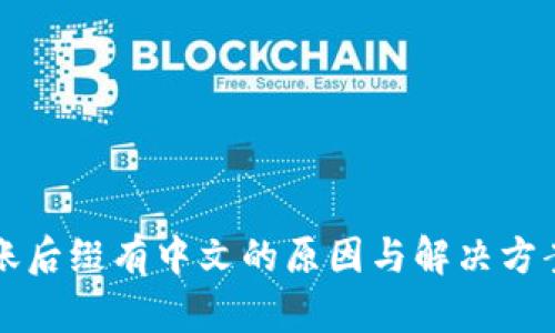 TP钱包转账后缀有中文的原因与解决方案详细解析