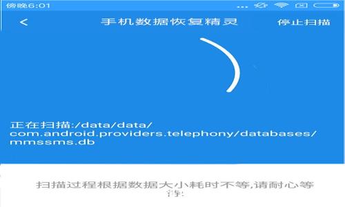 : 如何将瑞波币提取到TP钱包：详细步骤指南