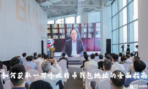 如何获取一万个比特币钱包地址的全面指南