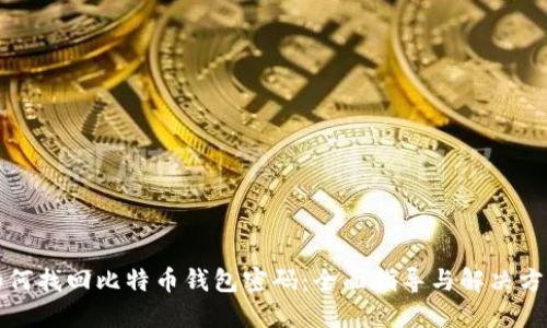 如何找回比特币钱包密码：全面指导与解决方案
