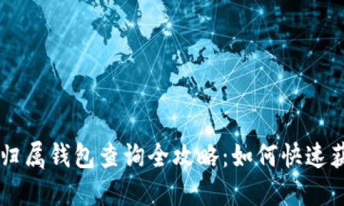 : USDT地址归属钱包查询全攻略：如何快速获取钱包信息