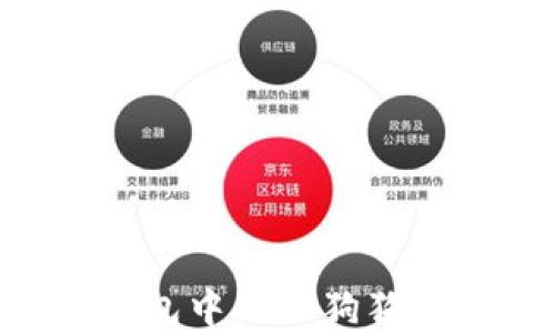 如何在TP钱包中购买狗狗币:完整指南