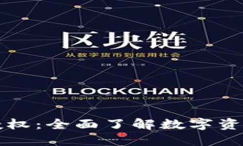 和关键词

TP钱包开发授权：全面了解数字资产管理的未来