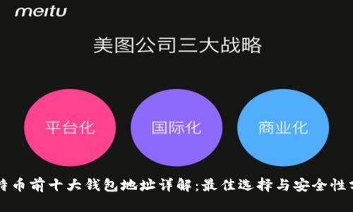 比特币前十大钱包地址详解：最佳选择与安全性分析
