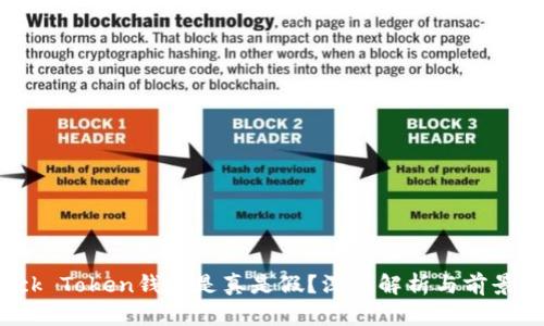 Block Token钱包是真是假？深度解析与前景展望