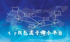 t p钱包属于哪个平台