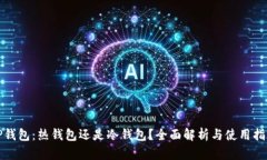 TP钱包：热钱包还是冷钱包？全面解析与使用指南