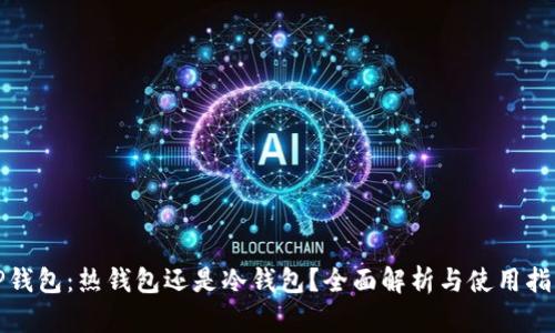 TP钱包：热钱包还是冷钱包？全面解析与使用指南