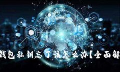 TokenPocket钱包私钥忘了该怎么办？全面解析与解决