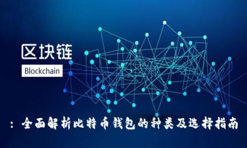 : 全面解析比特币钱包的种类及选择指南