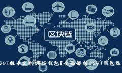 USDT提币支持哪些钱包？全面解析USDT钱包选择