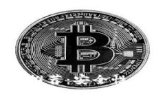 2013年比特币钱包推荐：安全性与便捷性的完美结