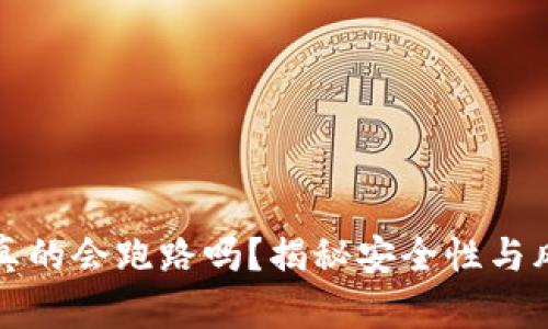 TP钱包真的会跑路吗？揭秘安全性与风险分析