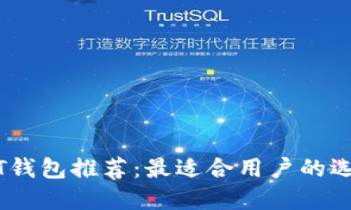 苹果手机USDT钱包推荐：最适合用户的选择与使用指导