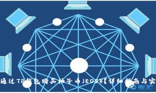 : 如何通过TP钱包购买柚子币（EOS）？详细指南与实用建议